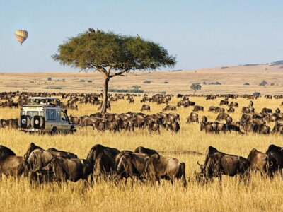 Masai Mara, Kenya Summer Goals 2021
